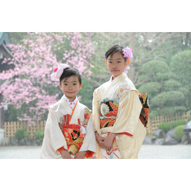 七五三（寒川神社）